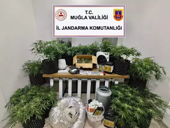 Bodrum’da Uyuşturucu Operasyonu: Likit Esrar ve Skunk Ele Geçirildi