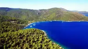 Kıyılarda Yeni Dönem: Orman Alanları Turizm Tahsislerine Açılıyor