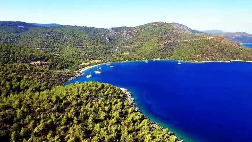 Kıyılarda Yeni Dönem: Orman Alanları Turizm Tahsislerine Açılıyor