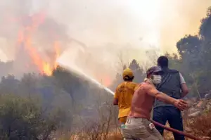 Bodrum Akyarlar’da Korkutan Yangın: Tatilciler Evlerini Terk Etti