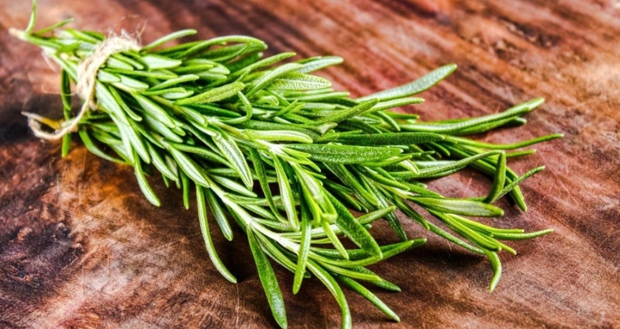 İnsan beynini gençleştiren bitki aslında her pazarda satılıyormuş