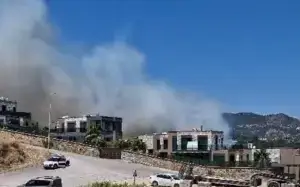 Bodrum’da Çıkan Yangın Korkuttu: Ekipler Hızla Müdahale Etti