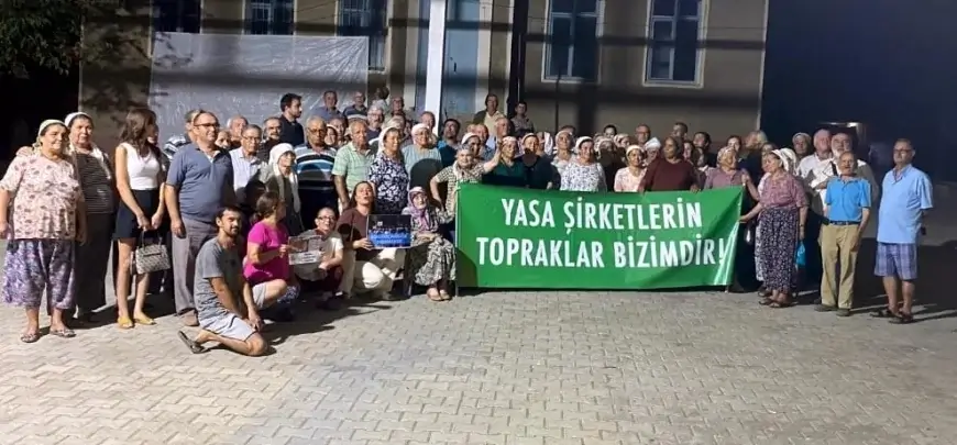 Milas ve Yatağan köylüleri zeytin yasasını Danıştay’a taşıdı