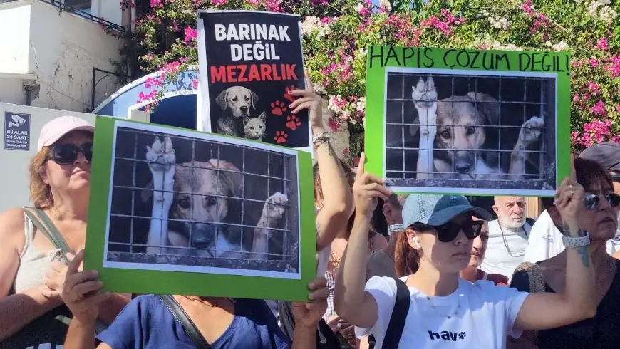 Bodrum’da hayvanseverlerden “Katliam Yasası” protestosu