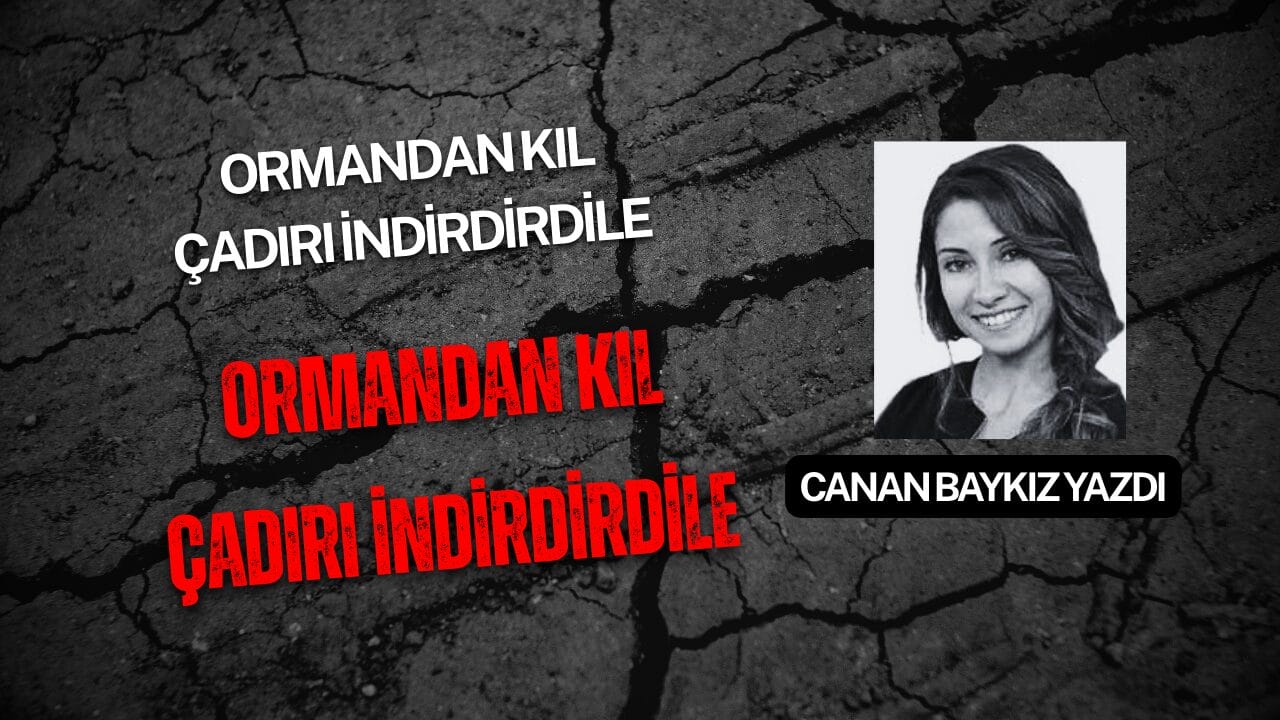 Ormandan Kıl Çadırı İndirdirdiler Şimdi Yangını Çıkamıyorlar !