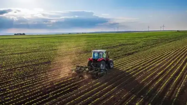Tarım Arazileri Sahibine Sorulmadan Kiraya Verilecek: Uygulama Başladı