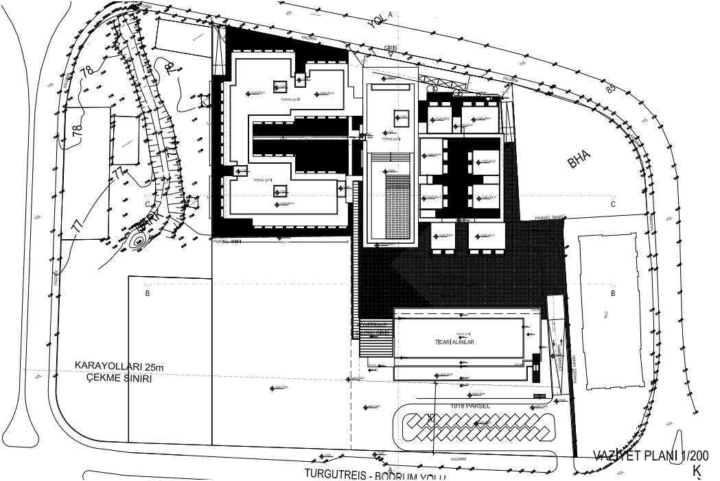 Sayın Mandalinci Bu Ruhsata Nasıl İmza Attınız?