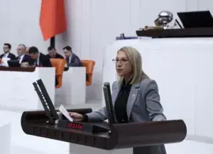 CHP’li Süreyya Öneş Derici’den 10778 Sayılı Karara Tepki