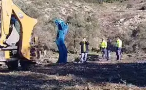 Akbelen’de Zeytin Sökümü Sürüyor: “Maviye Boyandı” İddiası Ve Danıştay Süreci