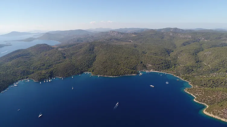 Bodrum’da 7,7 Milyarlık Tapu Kumpası İddiası: 10 Şüpheli Tutuklandı