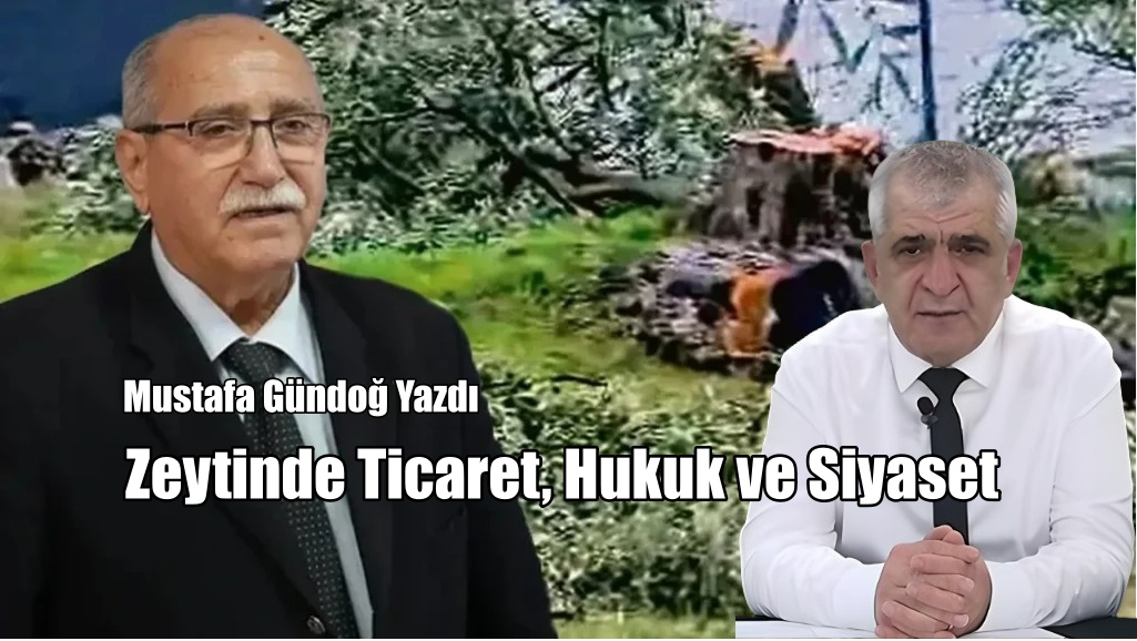 Zeytinde Ticaret, Hukuk ve Siyaset