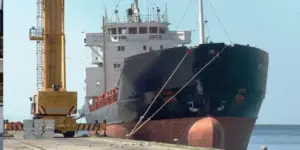 Bodrum’da Uyuşturucu Kaçakçılığında Yakalanan Kargo Gemisi Elde Kaldı