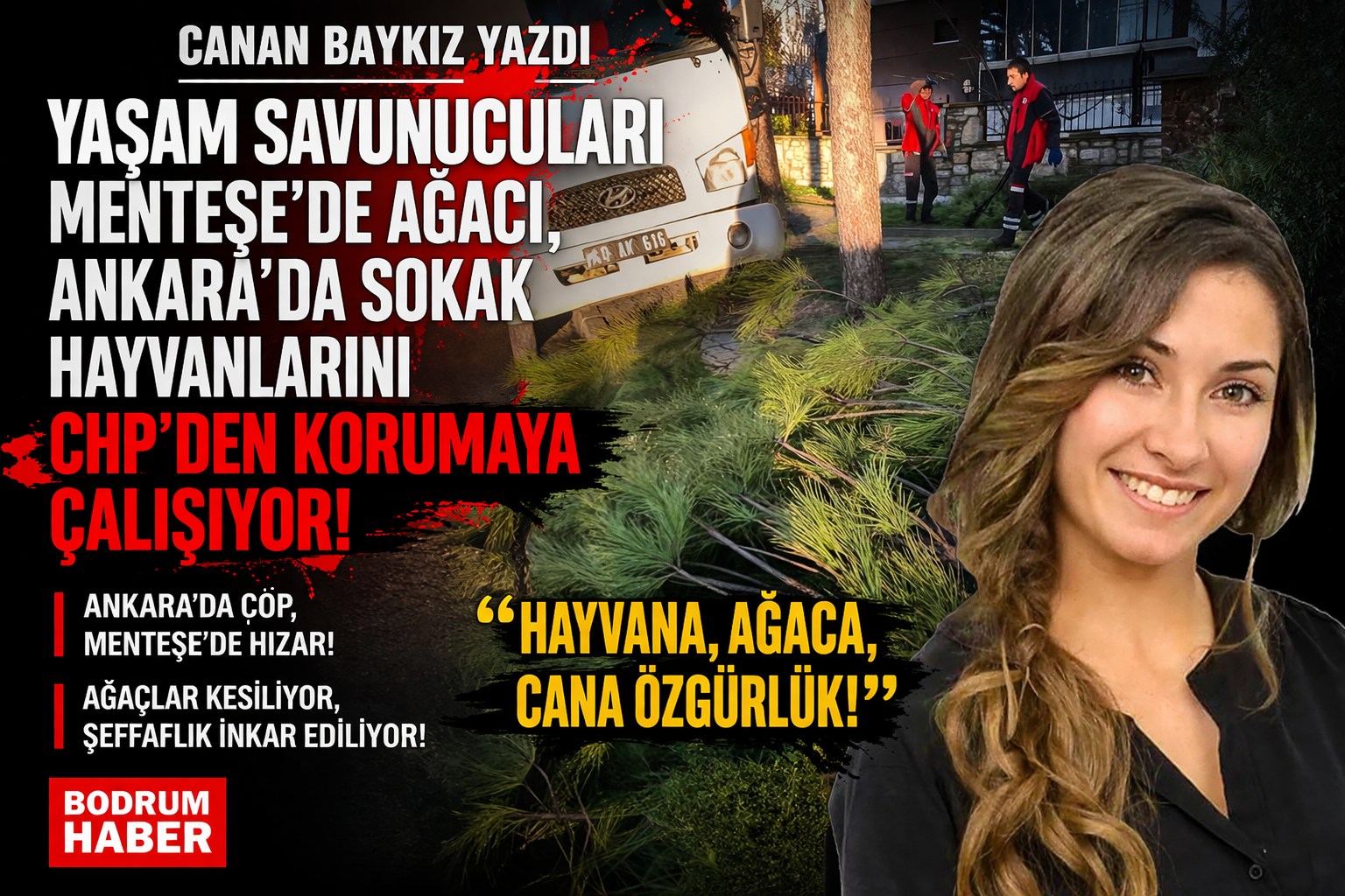 Yaşam Savunucuları Menteşe’de Ağacı, Ankara’da Sokak Hayvanlarını CHP’den Korumaya Çalışıyor!