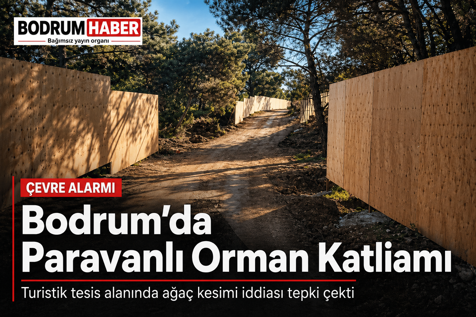 Bodrum’da Paravanlı Orman Katliamı İddiası