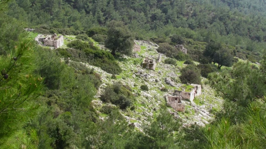Bodrum’da Doğa Ve Kültür Rotası: Girelbelen’de Tarih Yok Oluyor