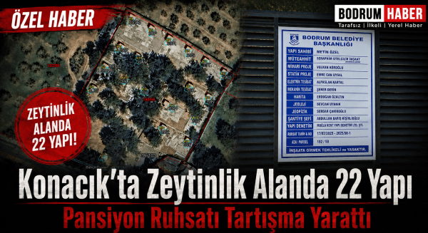 Konacık’ta Zeytinlik Alanda 22 Yapı: Pansiyon Ruhsatı Tartışma Yarattı