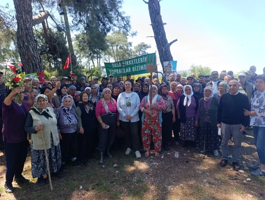 Akbelen’de Tutuklanan Esra Işık İçin Kritik Duruşma