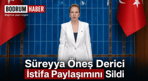 Süreyya Öneş Derici “CHP’den İstifa Ettim” Paylaşımını Sildi