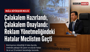 Çalakalem Hazırlandı, Çalakalem Onaylandı: Reklam Yönetmeliğindeki Hatalar Meclisten Geçti