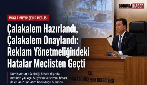 Çalakalem Hazırlandı, Çalakalem Onaylandı: Reklam Yönetmeliğindeki Hatalar Meclisten Geçti