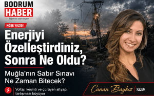Enerjiyi Özelleştirdiniz, Sonra Ne Oldu?