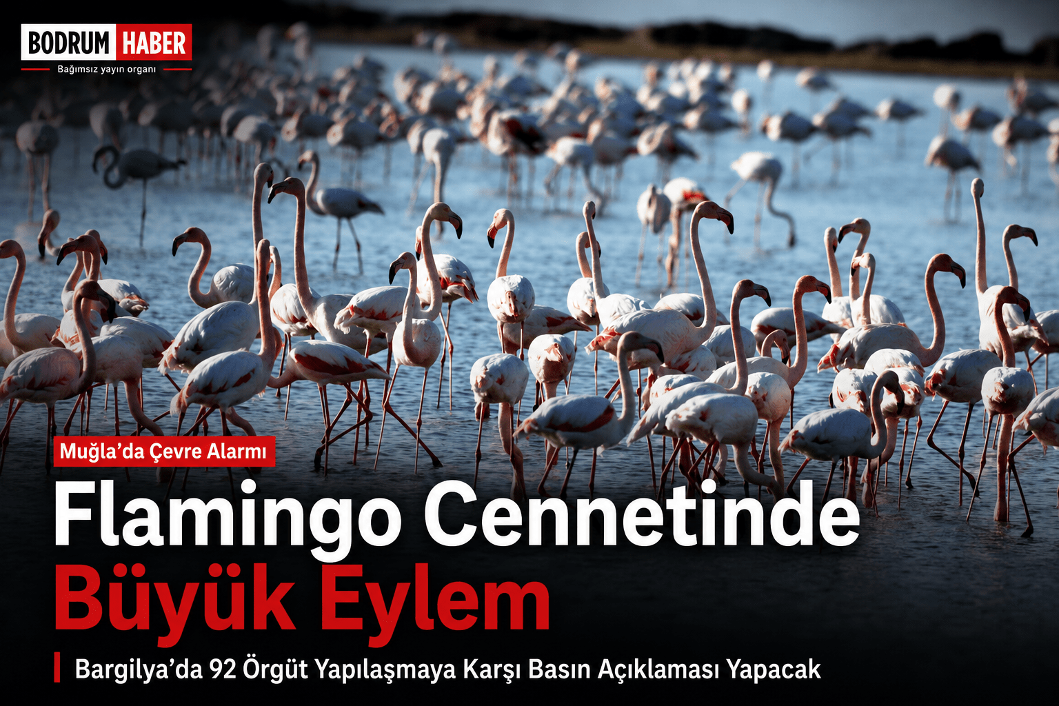Kuş Cenneti İçin Eylem Kararı