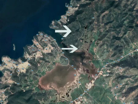 Kuş Cenneti İçin Eylem Kararı