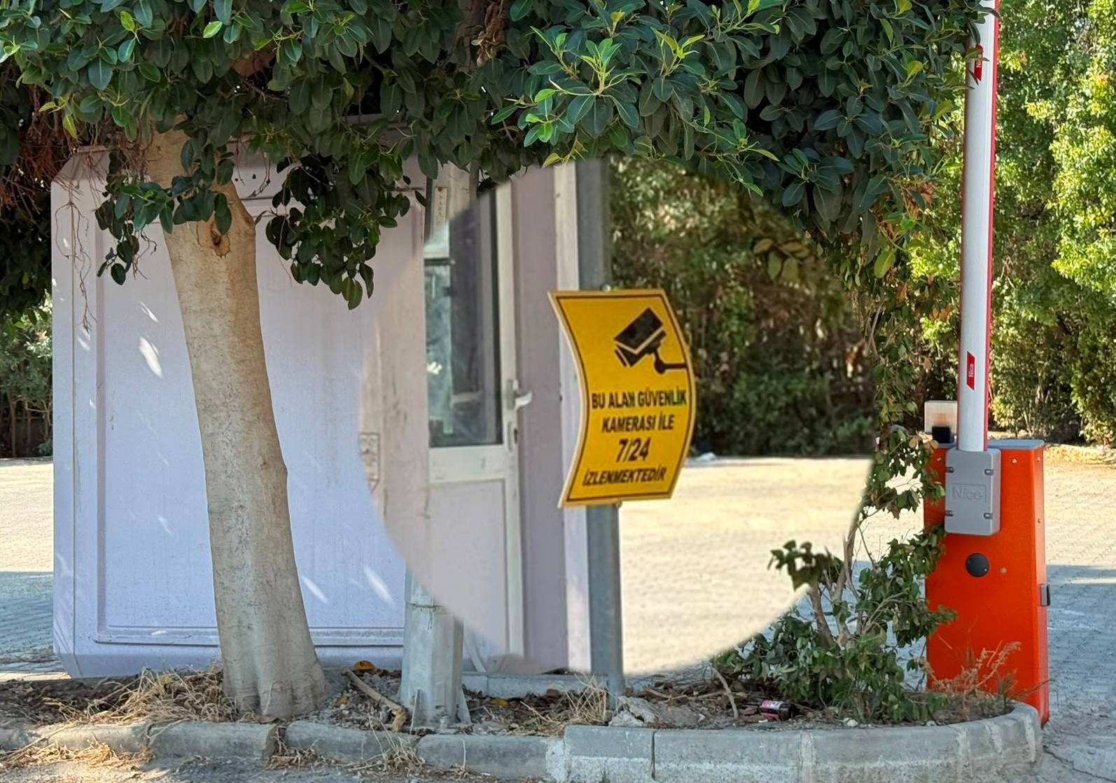 Bodrum Belediyesi halkın parkını neden korumuyor?