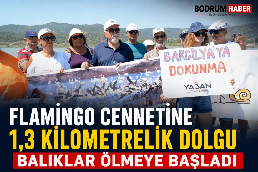 Flamingo Cennetine 1,3 Kilometrelik Dolgu: Balıklar Ölmeye Başladı
