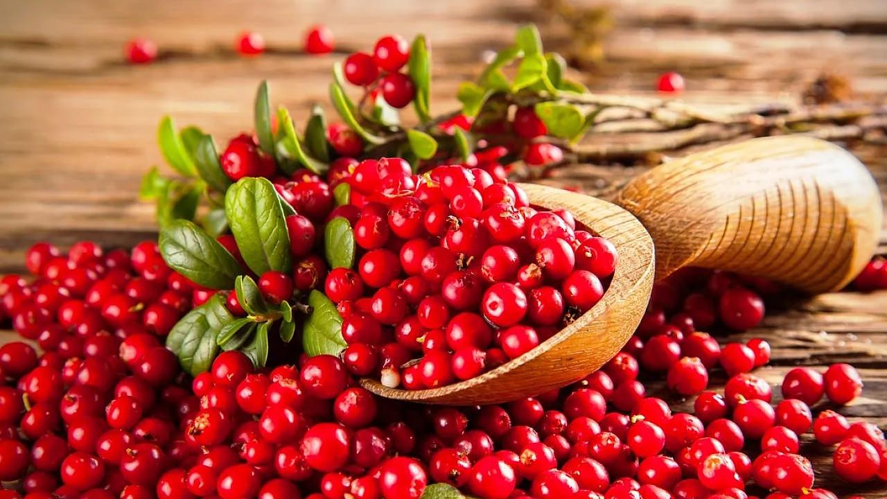 Düzenli tüketin: Kanserden koruyor! Vücudunuzu temizliyor