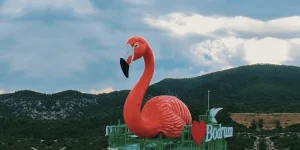 TMMOB’dan Usuluk Tabiat Parkı için koruma çağrısı