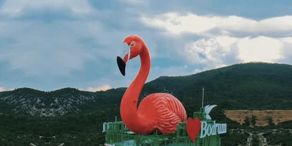 TMMOB’dan Usuluk Tabiat Parkı için koruma çağrısı