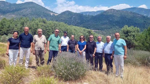 Fethiye’ye distilasyon tesisi planlanıyor