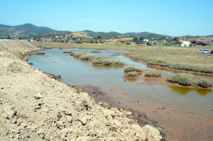 Flamingo Cennetine 1,3 Kilometrelik Dolgu: Balıklar Ölmeye Başladı