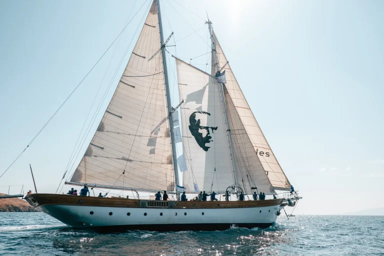 The Bodrum Cup 38. Yılında Yelken Açıyor: Bu Yılın Teması Bodrum Gemisi
