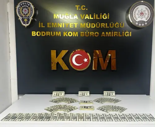 Bodrum’da 46 bin 200 sahte dolar ele geçirildi: Bir kişi tutuklandı