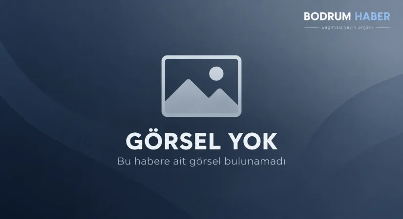 Bodrum’da Hastane Yapan Firmanın Adı ‘Yenidoğan Çetesi’ Operasyonunda